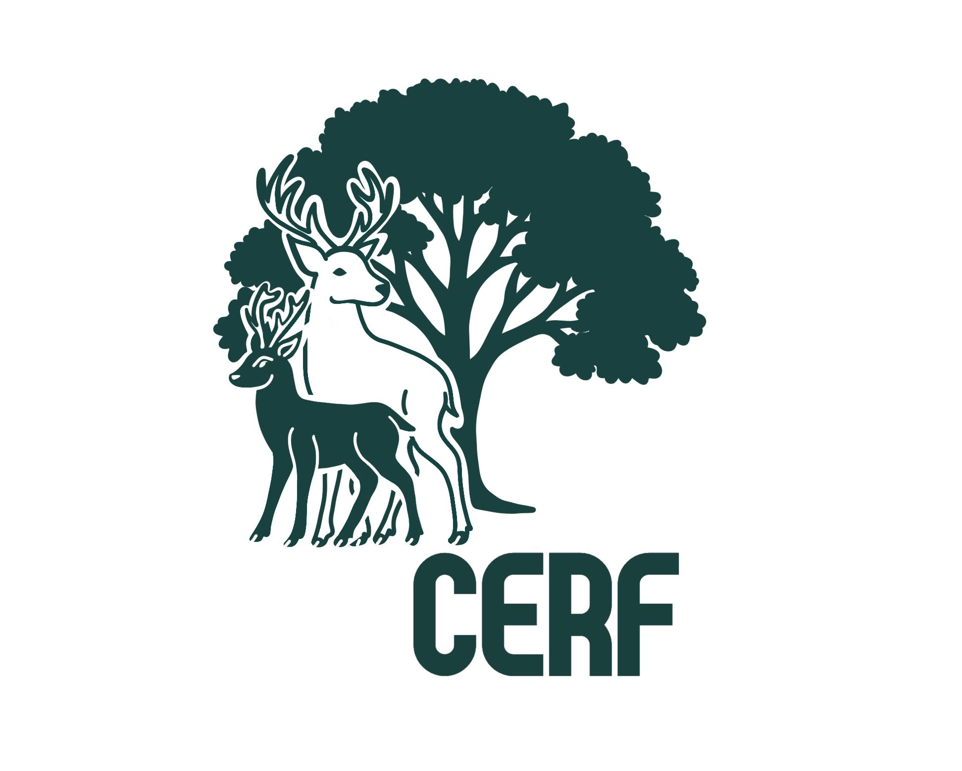 Logo CERF